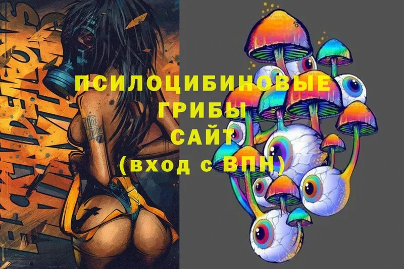 KRAKEN вход  Змеиногорск  Галлюциногенные грибы Magic Shrooms 